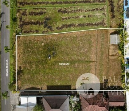 10 Are land, For rent