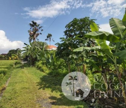 Land For Sale 400 Sqm