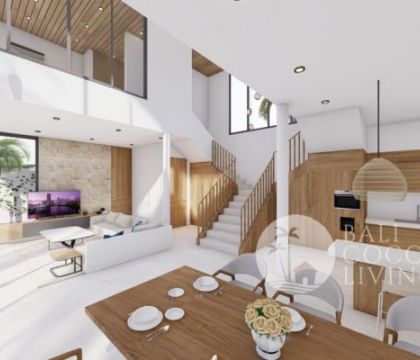The Millennial Villa 2