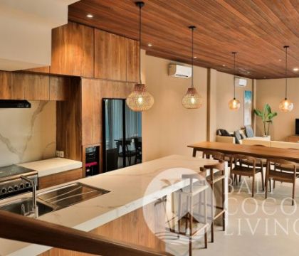 Villa Aska S10