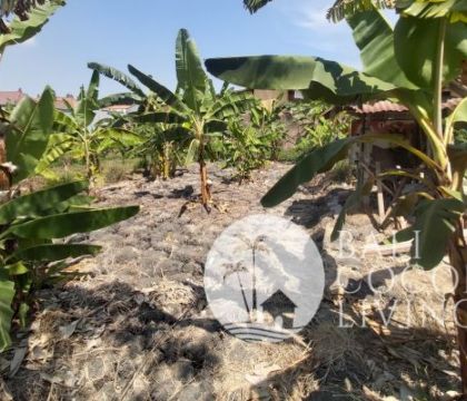 Land for sale 4 are
