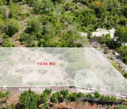 10 Ara Land For Sale Freehold
