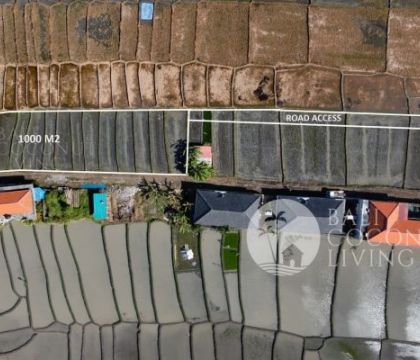 For rent, Land 10 are