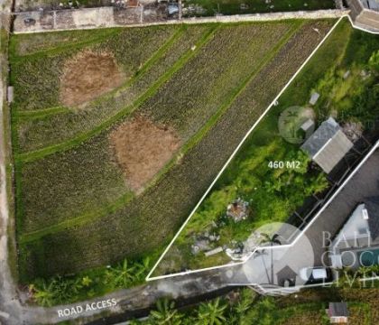 460 Sqm, Land for lease