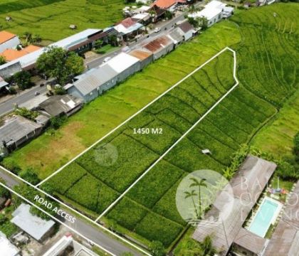 14,50 Are land, For lease