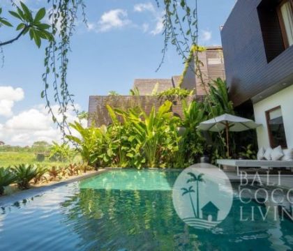 Villa Emerald  8