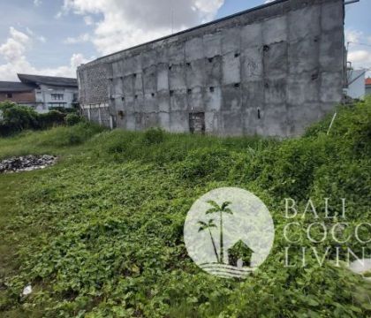 Land for lease 3 are Berawa
