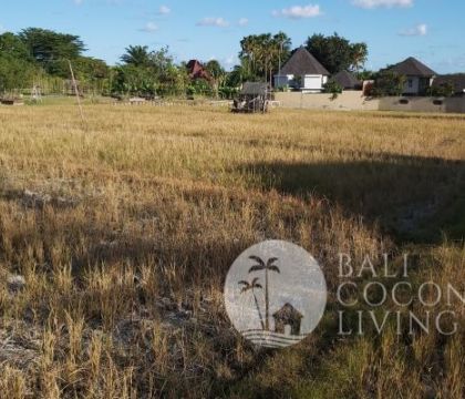 800 Sqm, Land for lease