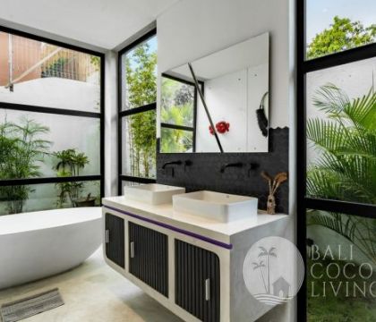 Villa Palapa