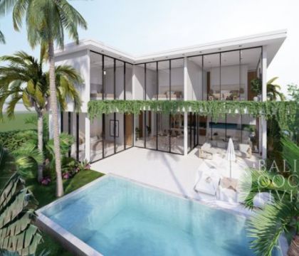 The Millennial Villa 1