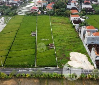 2250 Sqm, Land for lease