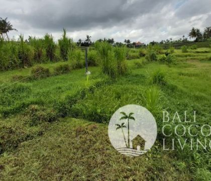 10 Are Land  for sale