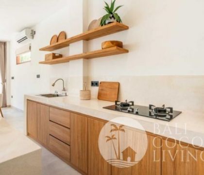 Villa Timon 1