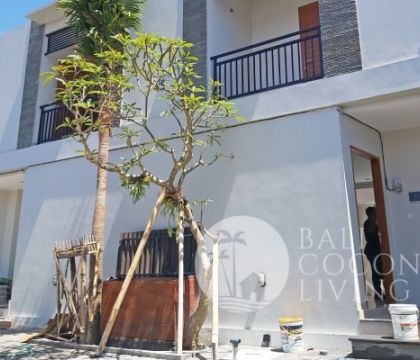 Villa Lamia 2
