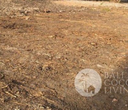 600 Sqm Land For Sale