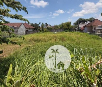 Land For Rent 11 are