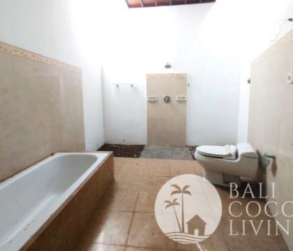 Villa Pandu
