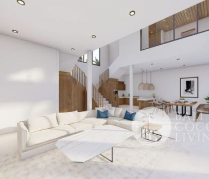 The Millennial Villa 2