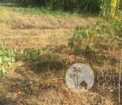 Land 10 are, for sale