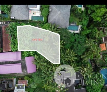 Land For Lease 459 Sqm 