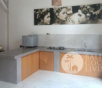 Family Apartment