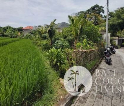 10 Are Land For Lease