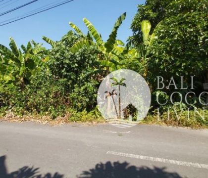Land 8,5 are for lease