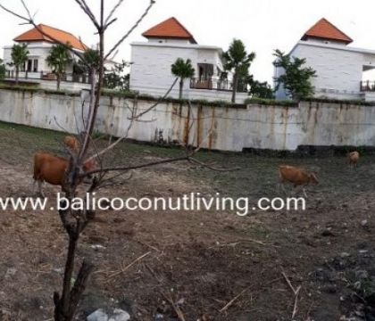 Land for sale 11 are