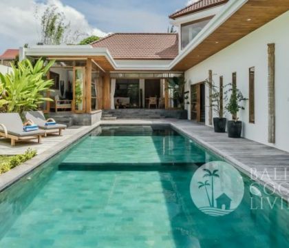 Cotonaster Villa