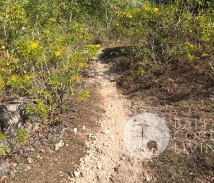 570 Sqm, Land for sale