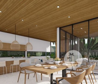 The Millennial Villa 1