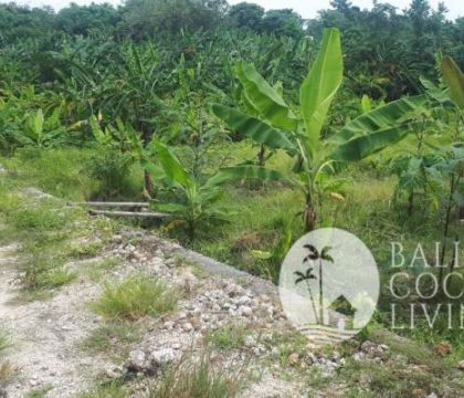Land For Rent 1,000 sqm