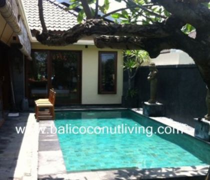 Villa Pisang