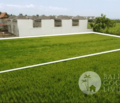 For rent, land 700 sqm