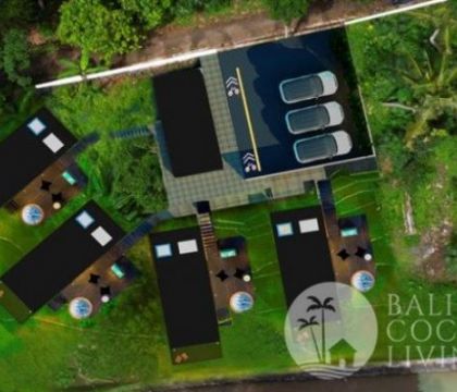 The Cabin House