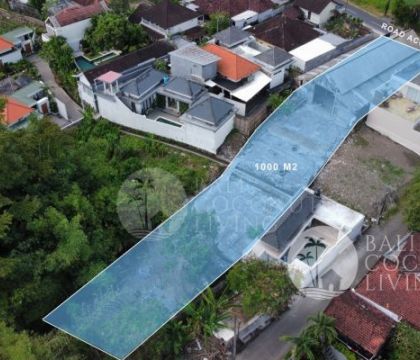 10 Are Land For Sale Leasehold - Padonan