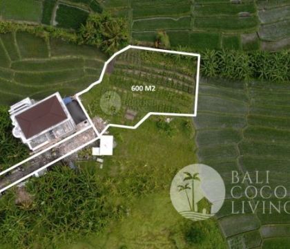 600 Sqm, for sale Land