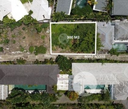 Land 300 sqm, For rent