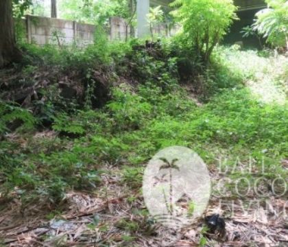 Land for lease 8,3 are