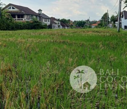 2800 Sqm land, For rent