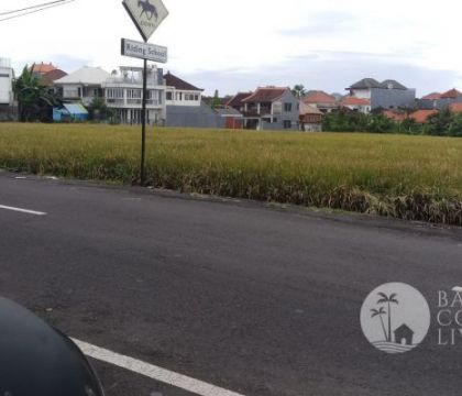 141 Are Land, For rent