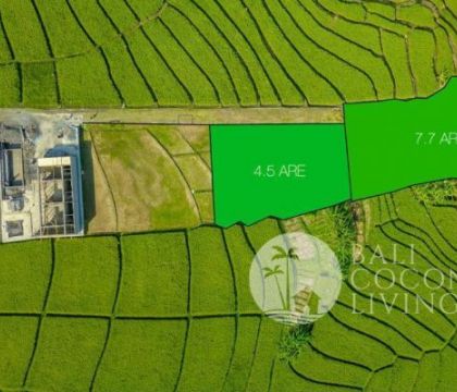 1222 Sqm, Land for lease