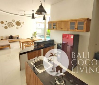 Villa Pineapple 2