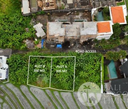 2  Units 3 Are land, For sale