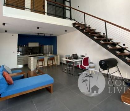Swan Loft Apartment
