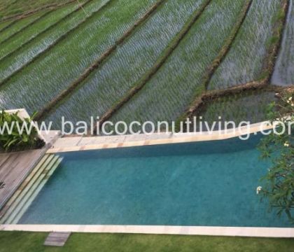 Finch Villa 2