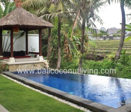 Villa Lily Bee