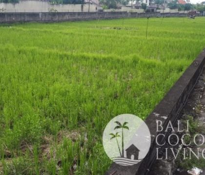 Land For Rent 28 are