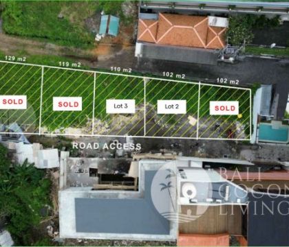 2 Plot Land For Sale in Berawa