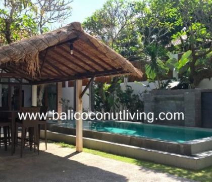 Villa Baliku